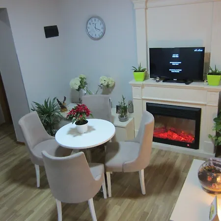 Hotell Freddy's Tirana