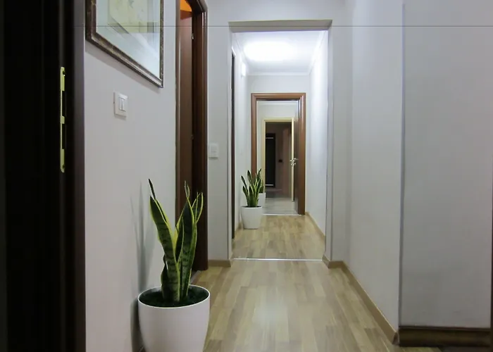 Freddy's Hotel Tirana